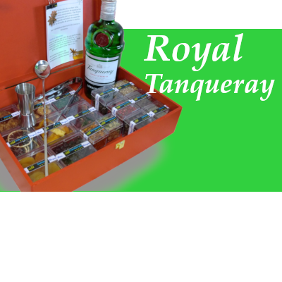 Kit Gin Presente Tanqueray