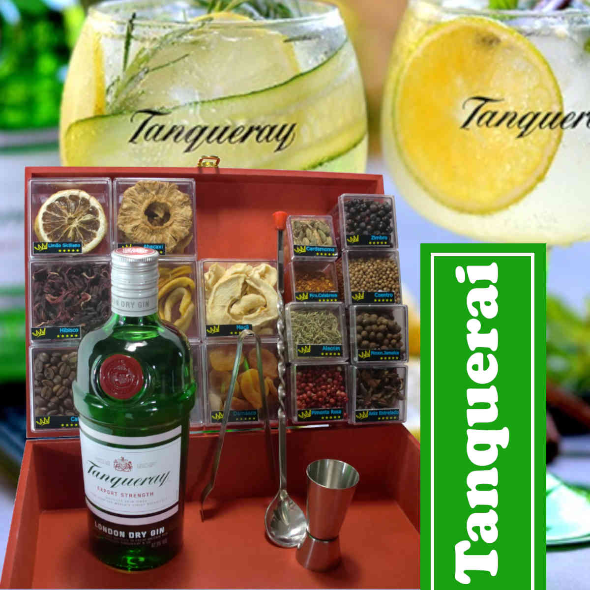 Kit Gin Tanqueray