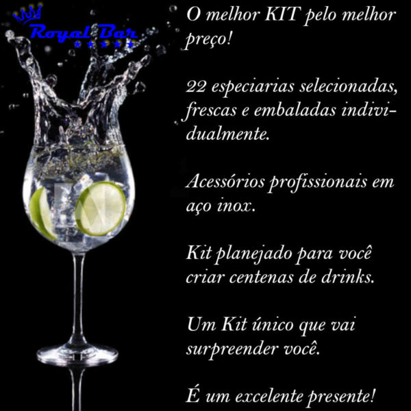 kit gin tônica royalblack, 22 especiarias, 13 pockets drinks, colher bailarina, dosador, pegador