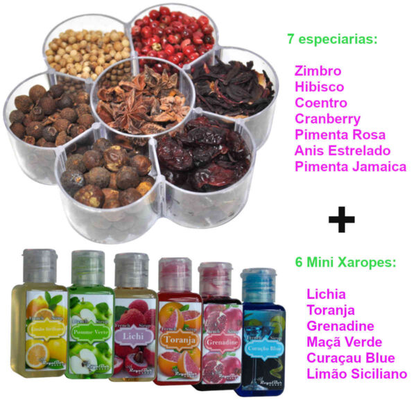 Especiarias para Gin Tônica - Pimenta Rosa, Coentro, Hibisco, Cranberry, Pimenta Jamaica, Zimbro, Anis Estrelado, 6 xaropes - RoyalBar