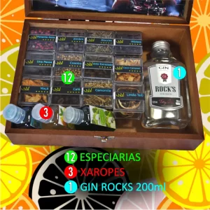 Kit Gin 12 Especiarias + 03 Xaropes + Mini Gin + Caixa MDF + Receitas